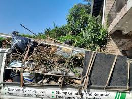 Best Commercial Junk Removal in Paradise, CA